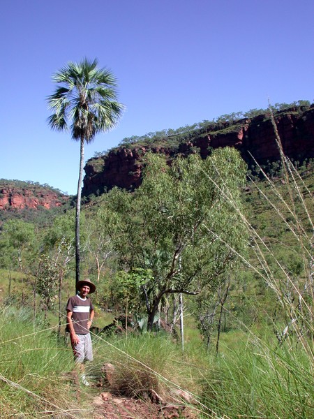 Joe Creek Walk